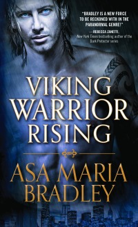 VikingWarriorRising-300